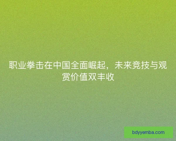 职业拳击在中国全面崛起，未来竞技与观赏价值双丰收